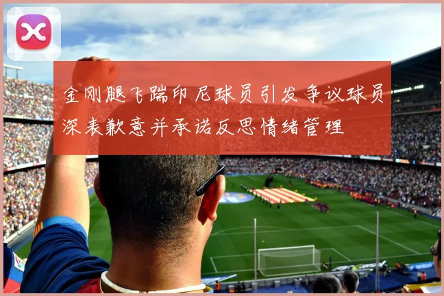 金刚腿飞踹印尼球员引发争议球员深表歉意并承诺反思情绪管理