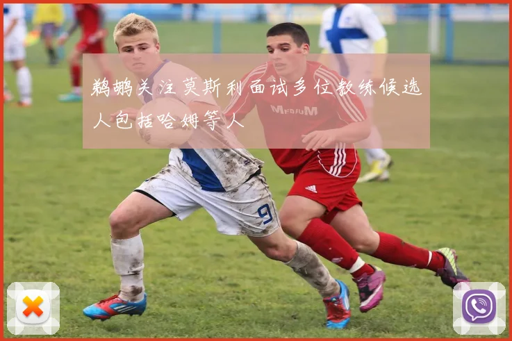 鹈鹕关注莫斯利面试多位教练候选人包括哈姆等人