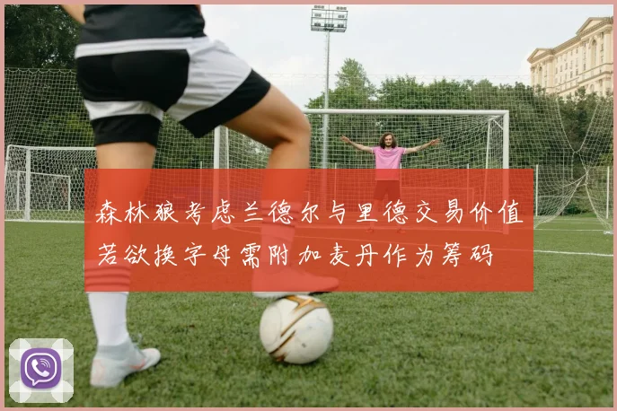 森林狼考虑兰德尔与里德交易价值若欲换字母需附加麦丹作为筹码