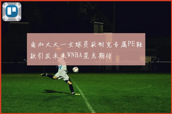 南加大大一女球员获耐克专属PE鞋款引发未来WNBA星光期待