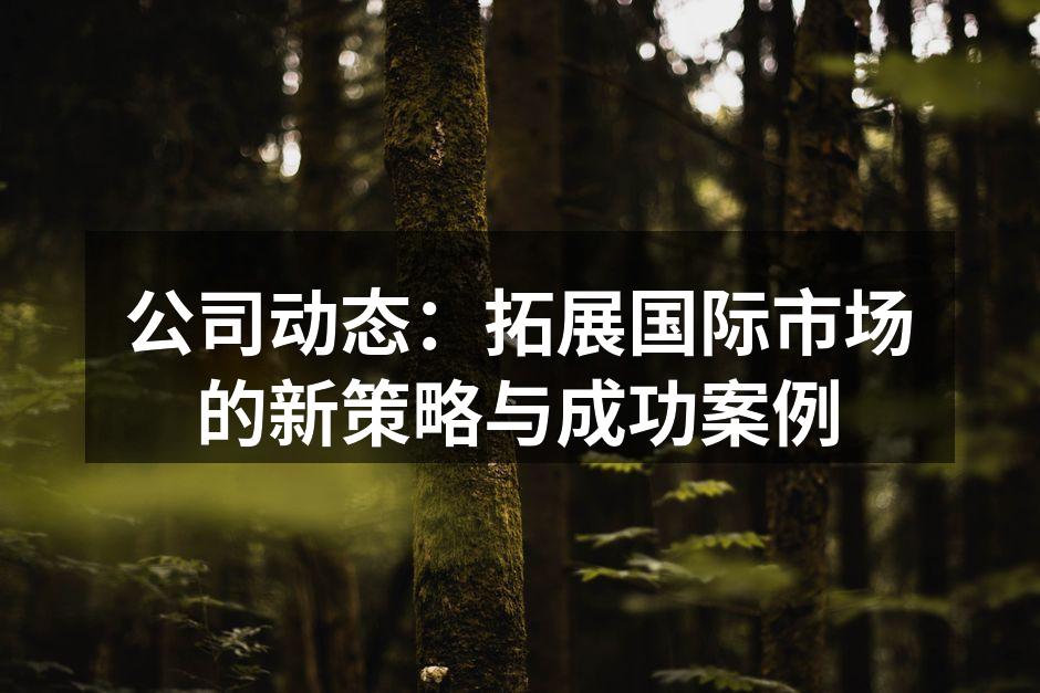 公司动态：拓展国际市场的新策略与成功案例