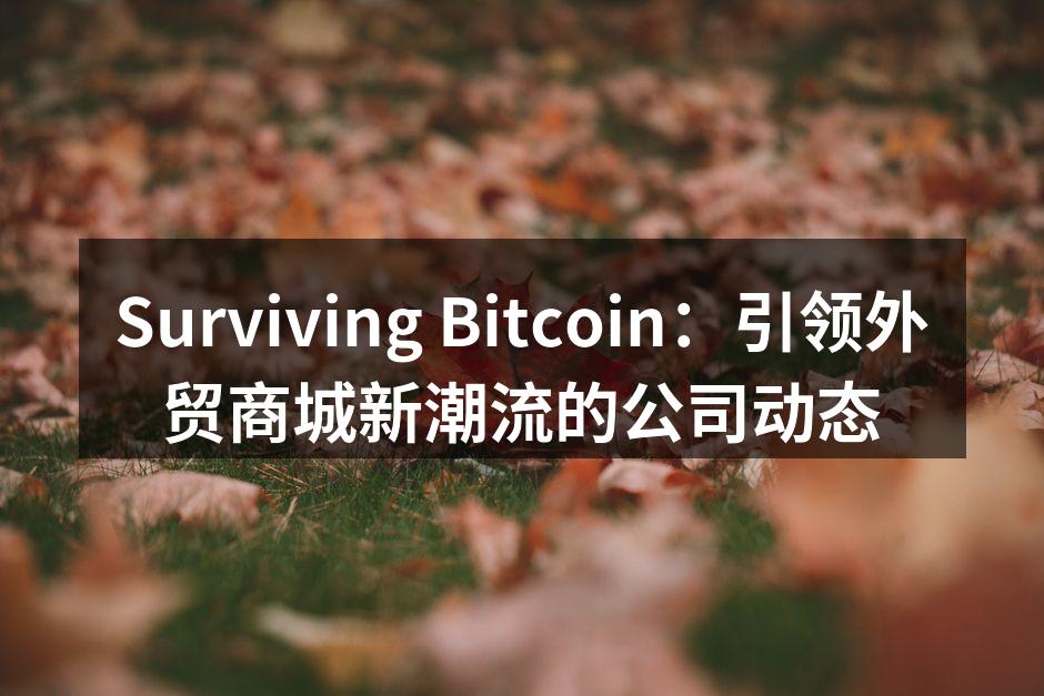 Surviving Bitcoin：引领外贸商城新潮流的公司动态